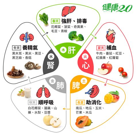 水果五行|巧用食物的五行養生